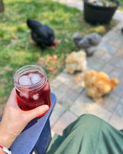 Load image into Gallery viewer, Brahma Mama Blueberry

