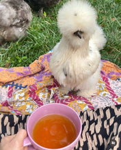 Load image into Gallery viewer, Red Roo-ibos Chai
