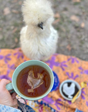 Load image into Gallery viewer, Handmade Chicken Tea Bags

