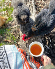 Load image into Gallery viewer, Organic Peachy Pullet Black
